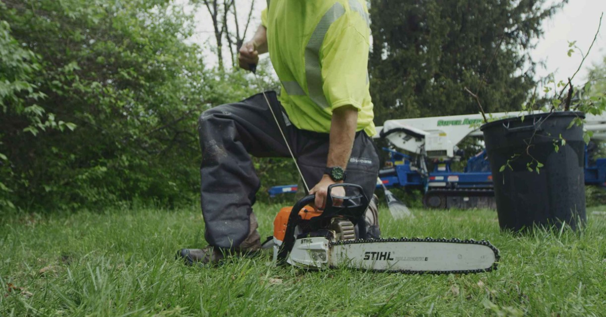 Professional tree removal service in Palm Springs, CA