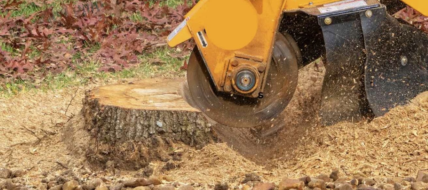 Stump grinding and removal in Palm Springs, CA